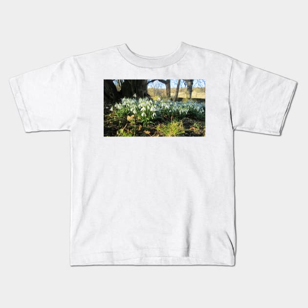 Snowdrops Under an Old Tree Kids T-Shirt by Natural Distractions